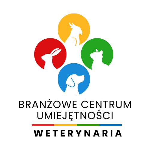 BCU w Zduńskiej Dąbrowie oferuje Branżowe Kursy i Szkolenia dla osób dorosłych, młodzieży i nauczycieli przedmiotów zawodowych